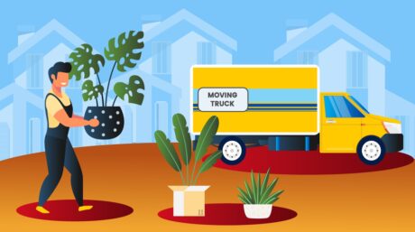 Budhha how to move and pack a houseplants 1